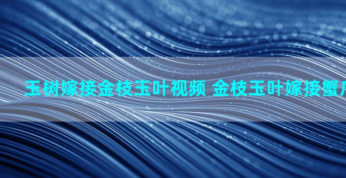 玉树嫁接金枝玉叶视频 金枝玉叶嫁接蟹爪兰的技术